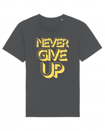 Never Give Up Anthracite