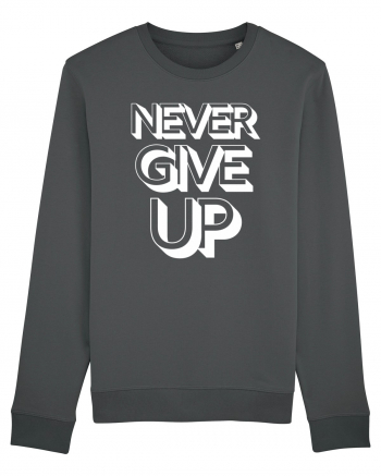 Never Give Up Anthracite