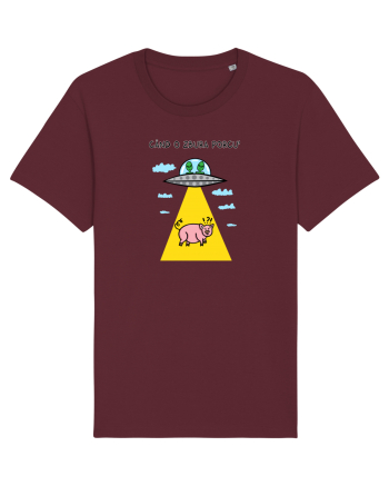 Când o zbura porcu' II Burgundy