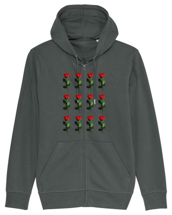 Roses Anthracite