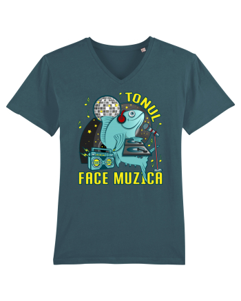 Tonul face muzica v1 Stargazer