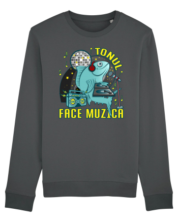 Tonul face muzica v1 Anthracite