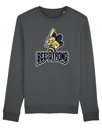 Bee Strong Anthracite