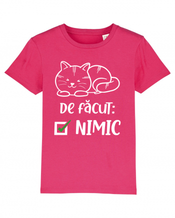 De făcut - NIMIC Raspberry