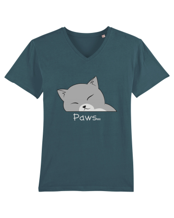Paws Stargazer