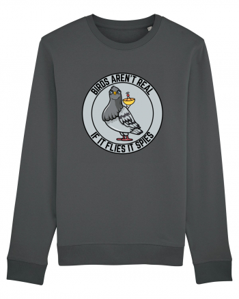 Birds Aren't Real Anthracite