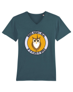 Birds Aren't Real Tricou mânecă scurtă guler V Bărbat Presenter