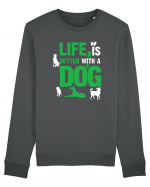 DOG Bluză mânecă lungă Unisex Rise