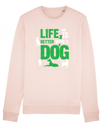 DOG Candy Pink