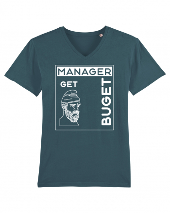 Un manager get buget Stargazer