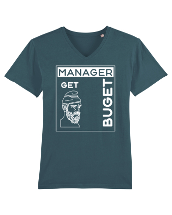 Un manager get buget Stargazer