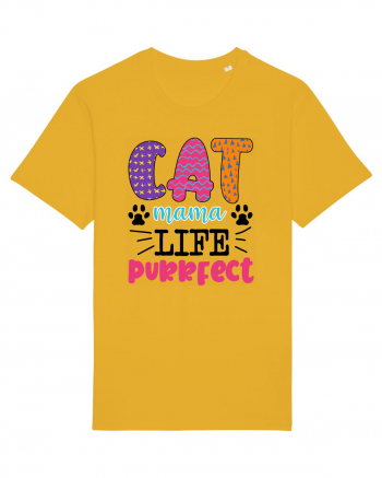 Best Cat Spectra Yellow
