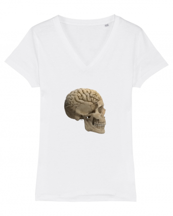 Craniu (cu creier) skullbrain 02 White