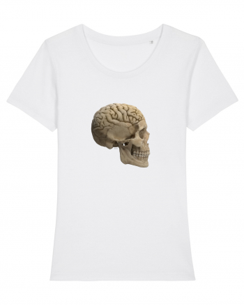 Craniu (cu creier) skullbrain 02 White