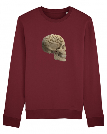 Craniu (cu creier) skullbrain 02 Burgundy