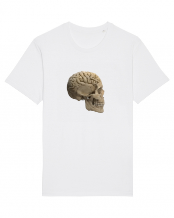 Craniu (cu creier) skullbrain 02 White