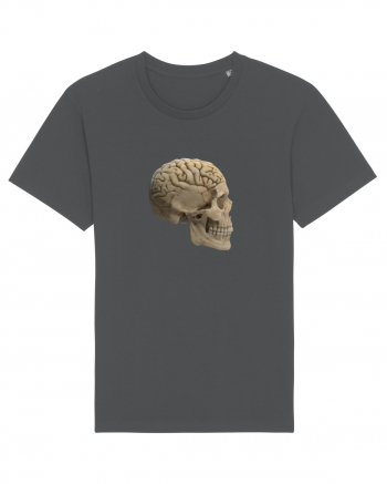 Craniu (cu creier) skullbrain 02 Anthracite