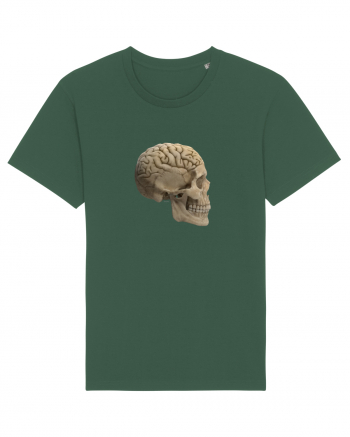 Craniu (cu creier) skullbrain 02 Bottle Green