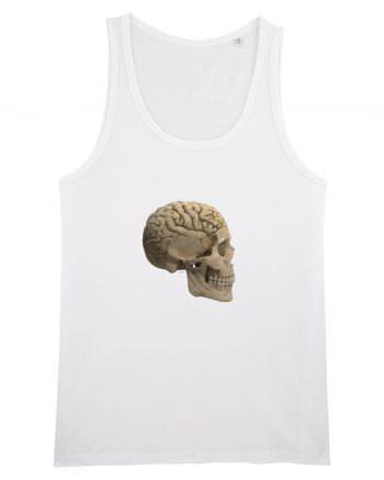 Craniu (cu creier) skullbrain 02 White