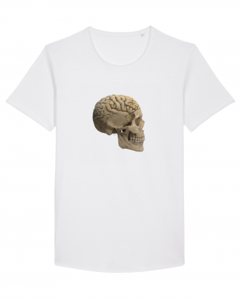 Craniu (cu creier) skullbrain 02 White