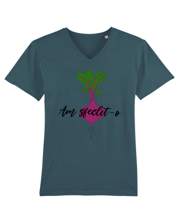 Am sfeclit-o Stargazer