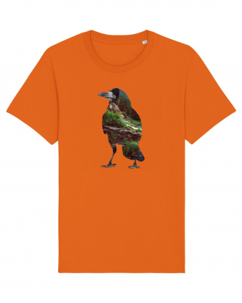 Crow Nature Bright Orange