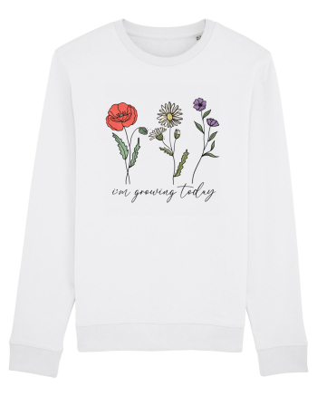 I'm growing today White