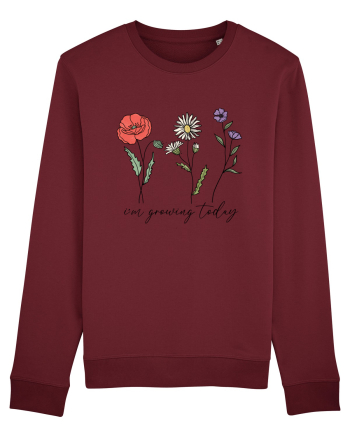 I'm growing today Burgundy