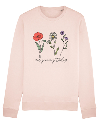 I'm growing today Candy Pink
