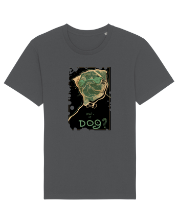 What's up dog? Anthracite