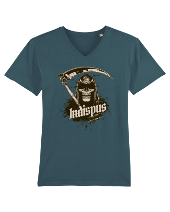 Indispus Stargazer