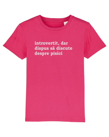 introvertit Raspberry