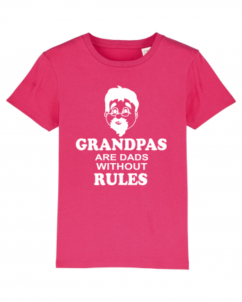 GRANDPAS Raspberry