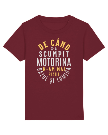 De când s-a scumpit benzina n-am mai plătit gazul și lumina Burgundy