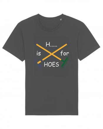 H... is for Hoes Anthracite