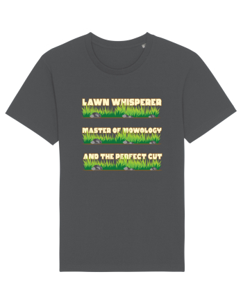 Lawn Whisperer Master of Mowology and the Perfect Cut Anthracite