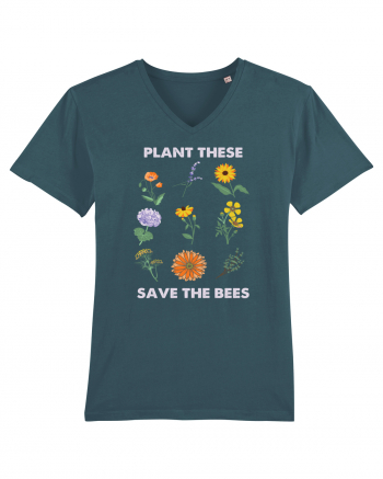 Plant These Save the Bees Stargazer