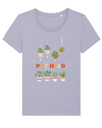 Pot Head Lavender