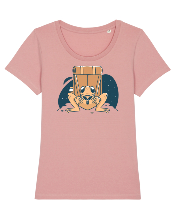 Broasca ce care un rupsac in spate Canyon Pink