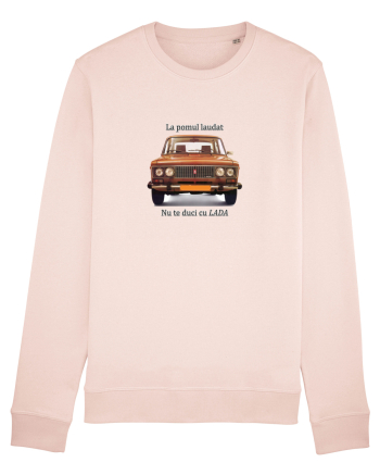 Pomul laudat Candy Pink