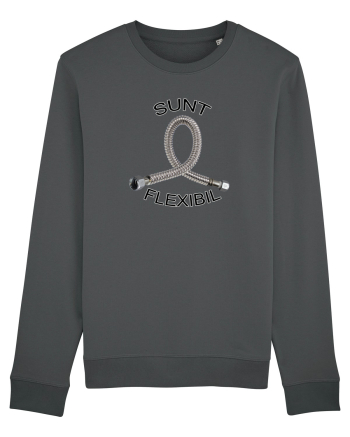 Sunt flexibil Anthracite