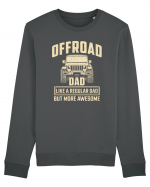 Offroad Dad Like A Regular Dad But more Awesome Bluză mânecă lungă Unisex Rise