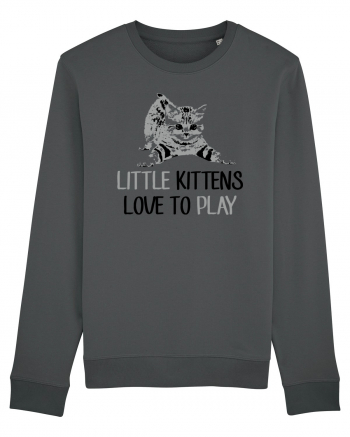 KITTENS Anthracite