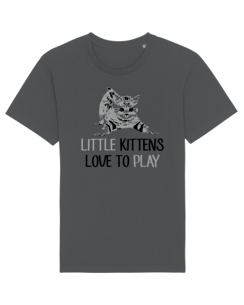 KITTENS Anthracite