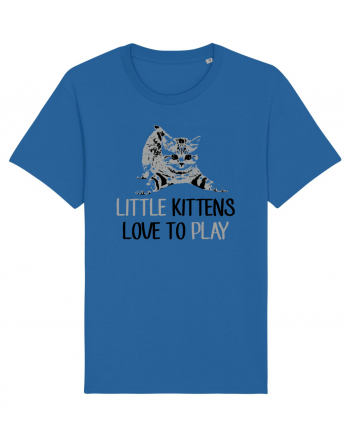 KITTENS Royal Blue