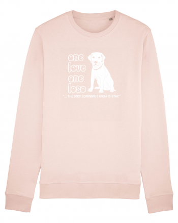 LABRADOR Candy Pink