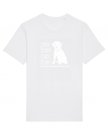 LABRADOR White