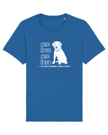 LABRADOR Royal Blue