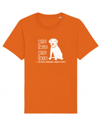 LABRADOR Bright Orange