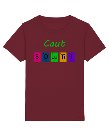 Caut Soluții Burgundy